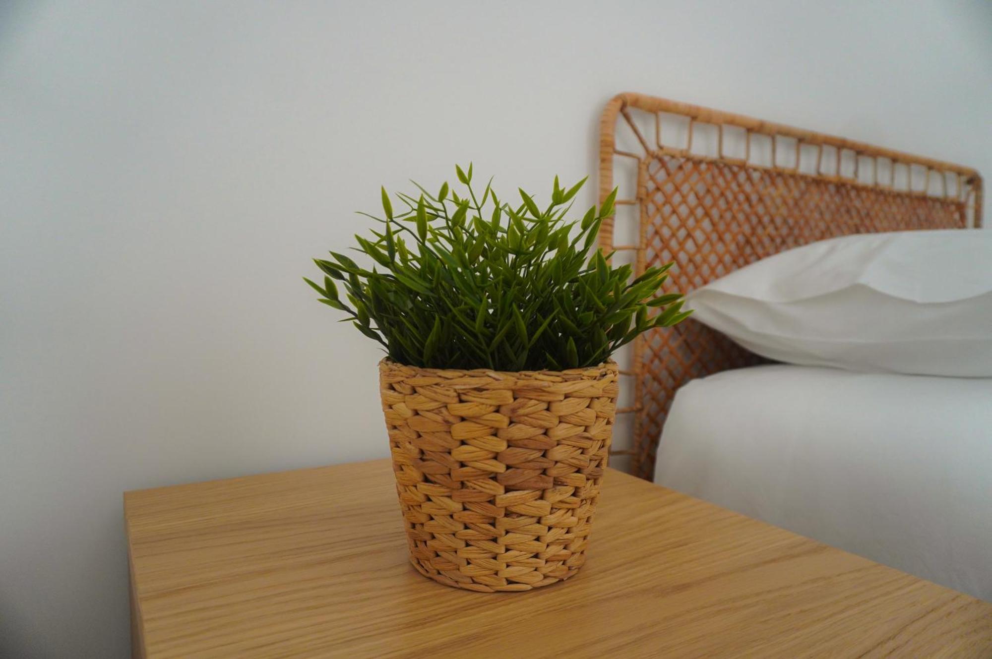 Alojamento Fortaleza Valenca Ngoại thất bức ảnh